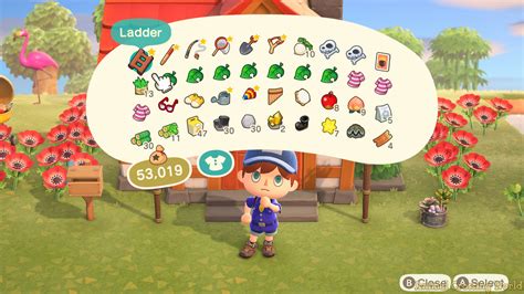 animal crossing new horizon inventory.